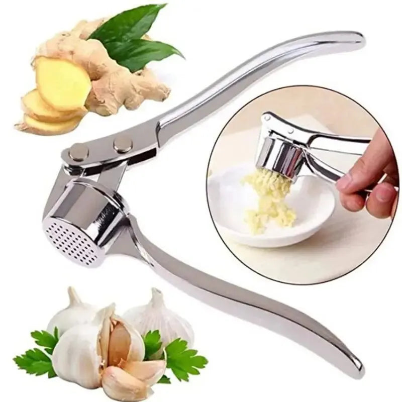 Stainless Steel Garlic Press & Crusher