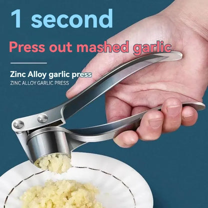 Stainless Steel Garlic Press & Crusher
