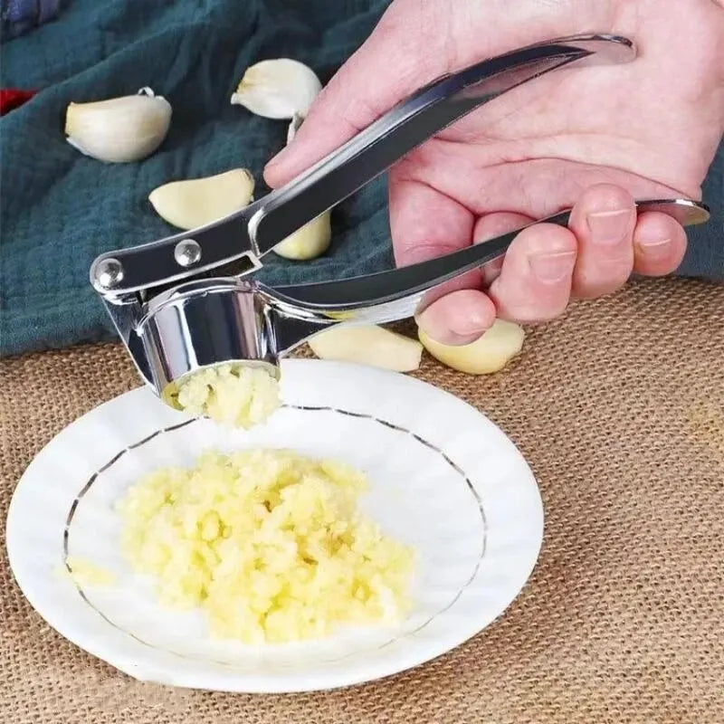 Stainless Steel Garlic Press & Crusher