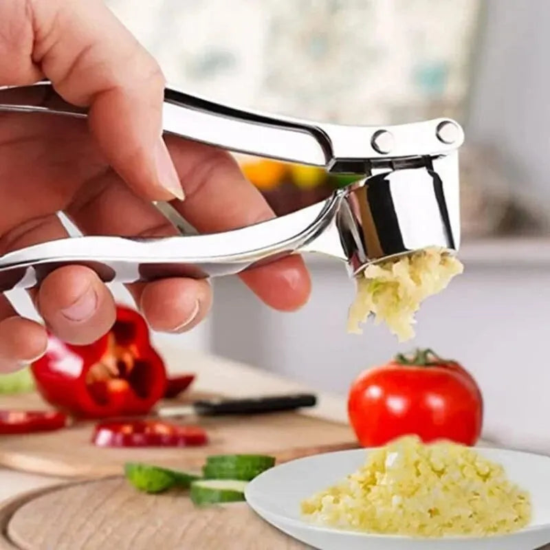 Stainless Steel Garlic Press & Crusher